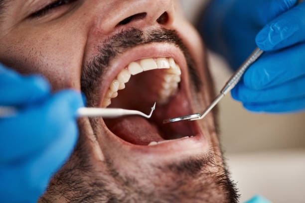 Best Weekend Emergency Dentist in Reedurban, OH